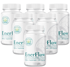 Buy EnerFlow